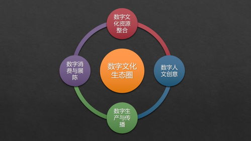 張曉明 跨越新文創(chuàng)時代專業(yè)鴻溝，構(gòu)建數(shù)字文化生態(tài)圈